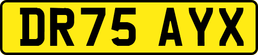 DR75AYX