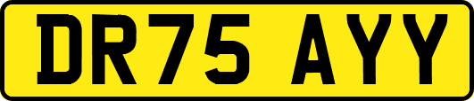 DR75AYY