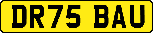 DR75BAU