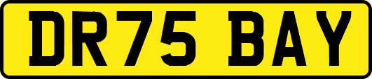 DR75BAY