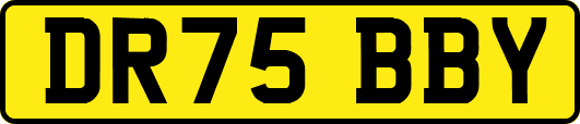 DR75BBY
