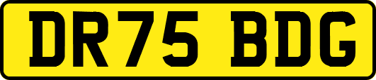 DR75BDG