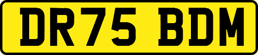 DR75BDM
