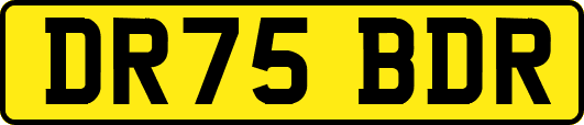 DR75BDR