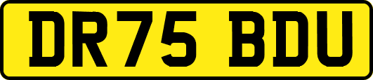 DR75BDU