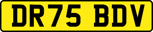 DR75BDV