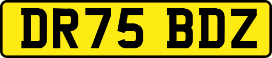DR75BDZ