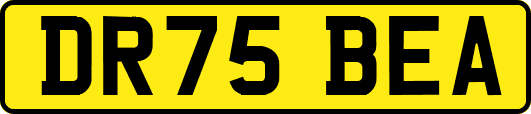 DR75BEA