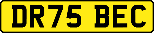 DR75BEC