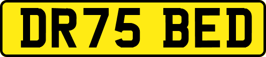 DR75BED