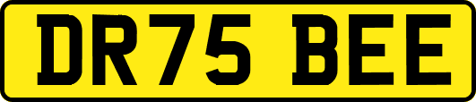 DR75BEE