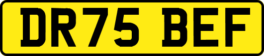 DR75BEF