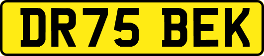 DR75BEK