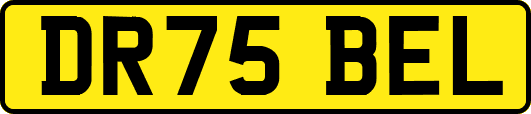 DR75BEL