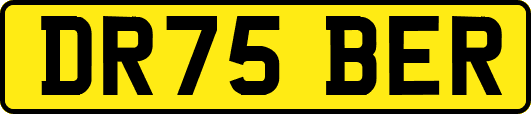 DR75BER