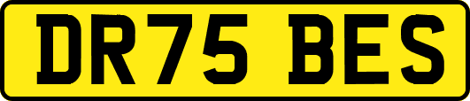 DR75BES