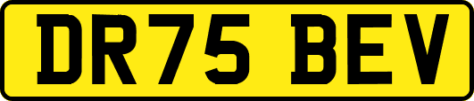DR75BEV