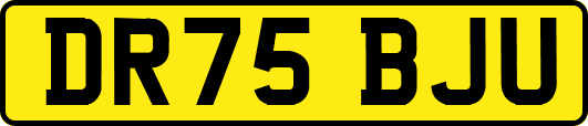 DR75BJU