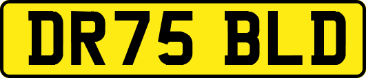 DR75BLD