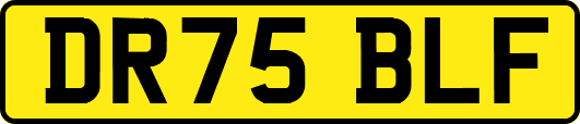 DR75BLF