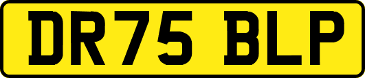 DR75BLP
