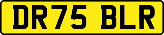 DR75BLR