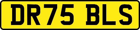 DR75BLS