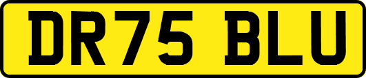 DR75BLU