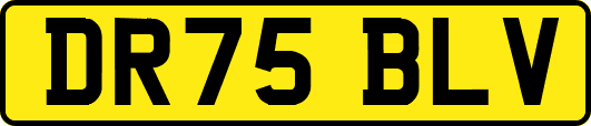 DR75BLV