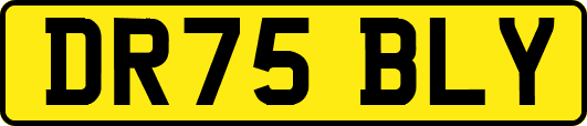 DR75BLY