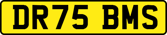 DR75BMS