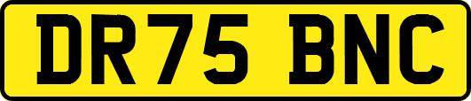 DR75BNC