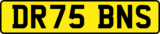 DR75BNS