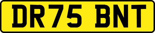 DR75BNT