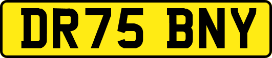 DR75BNY