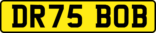 DR75BOB