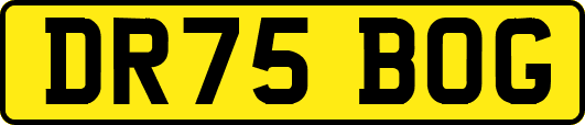 DR75BOG