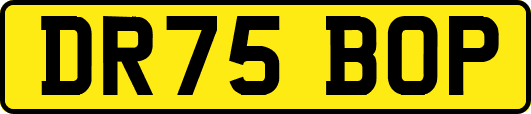 DR75BOP