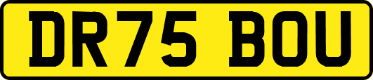 DR75BOU