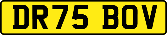 DR75BOV