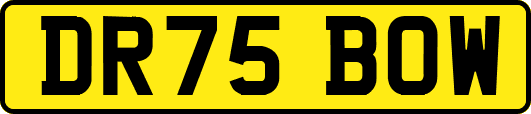 DR75BOW