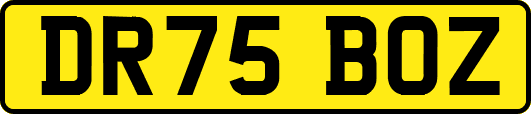 DR75BOZ