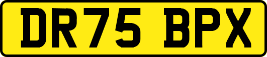 DR75BPX