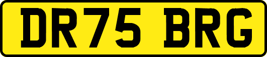 DR75BRG