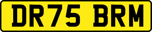 DR75BRM
