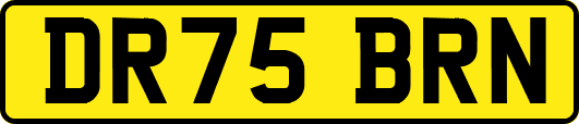 DR75BRN