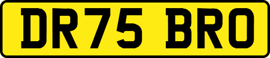 DR75BRO