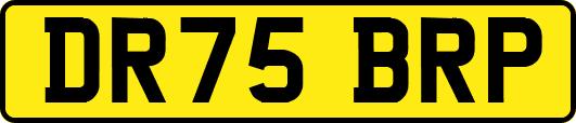 DR75BRP