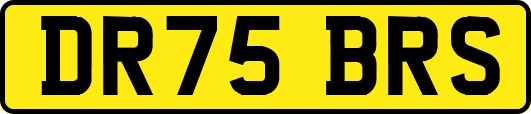 DR75BRS