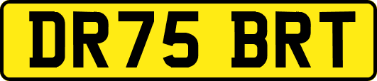 DR75BRT